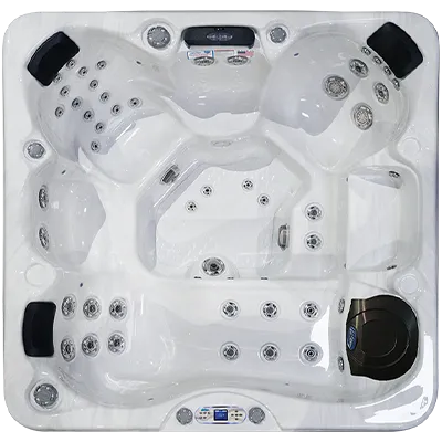 Avalon EC-849L hot tubs for sale in Rocky Mountain