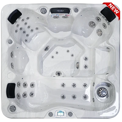 Avalon-X EC-849LX hot tubs for sale in Rocky Mountain