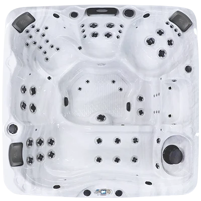 Avalon EC-867L hot tubs for sale in Rocky Mountain
